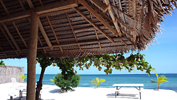 �G�A�p�V�t�B�b�N�ʐ^