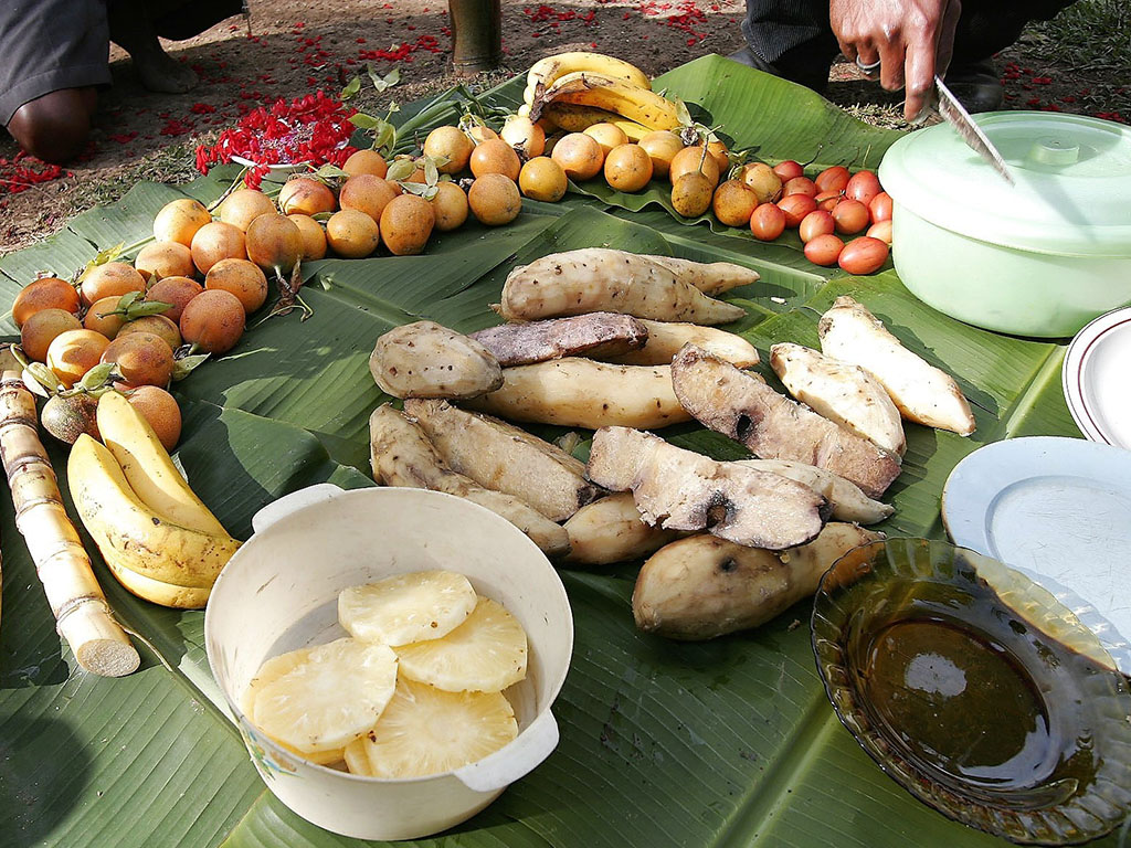 伝統調理法のムームーは、葉っぱに包んだ肉や野菜と、焼いた石を穴に入れる、蒸し焼き料理。栄養と旨味もそのままの超ナチュラル・ヘルシーフードです