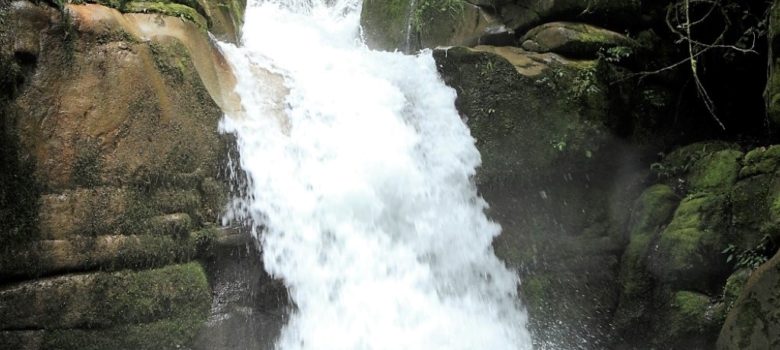 ゴロカ地区から車で30分ほどのカベベ村で、渓流とカベベ滝を散策するネイチャーウォークです。渓流はゴロカの町の水源となっています