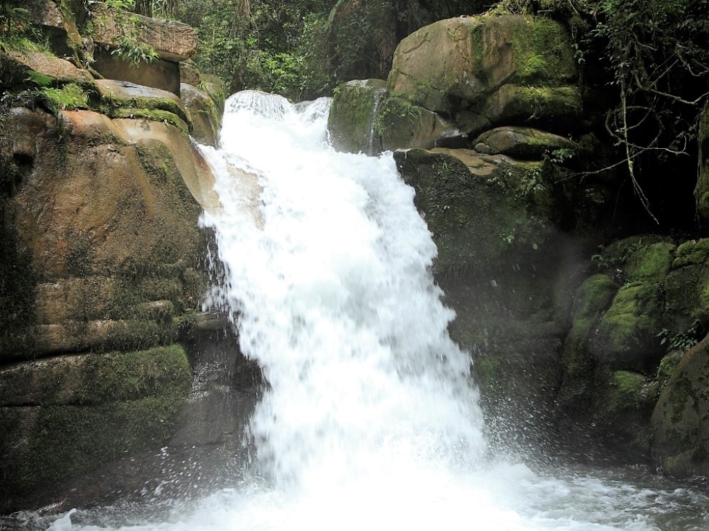 ゴロカ地区から車で30分ほどのカベベ村で、渓流とカベベ滝を散策するネイチャーウォークです。渓流はゴロカの町の水源となっています